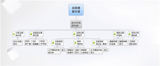 组织结构